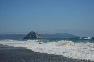 DSC_2521 (Large).JPG